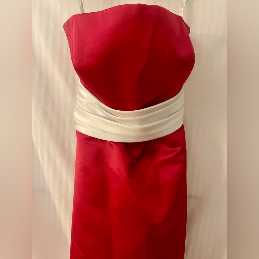 Bill Levkoff Dark Pink and White Formal Dress - Picture 5 of 12